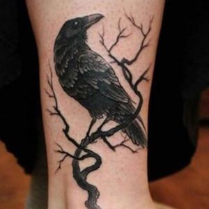 Meet your Posher, Ken